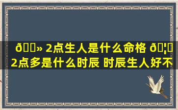 🌻 2点生人是什么命格 🦆 「2点多是什么时辰 时辰生人好不好」